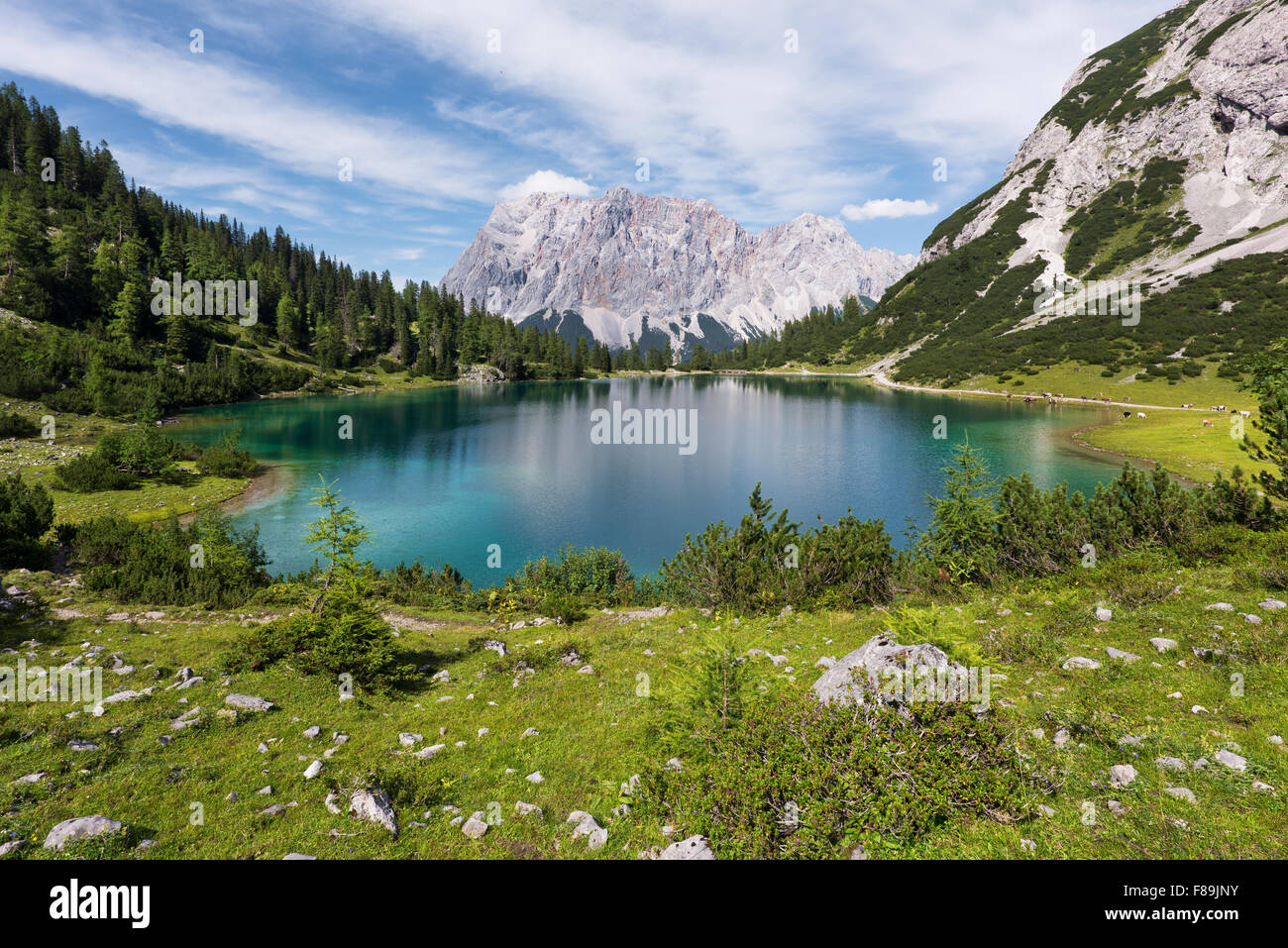 Seebensee con zugspitze, alpi austria, europa Foto Stock