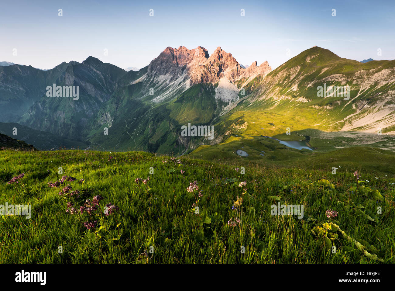 Alpi, Baviera, Germania, Europa Foto Stock
