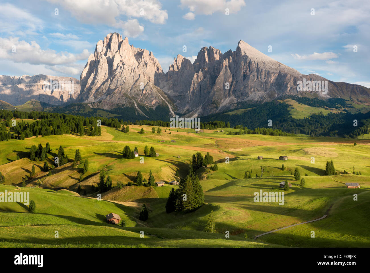 Alpe di Siusi Alpe di Siusi Dolomiti, Europa Foto Stock