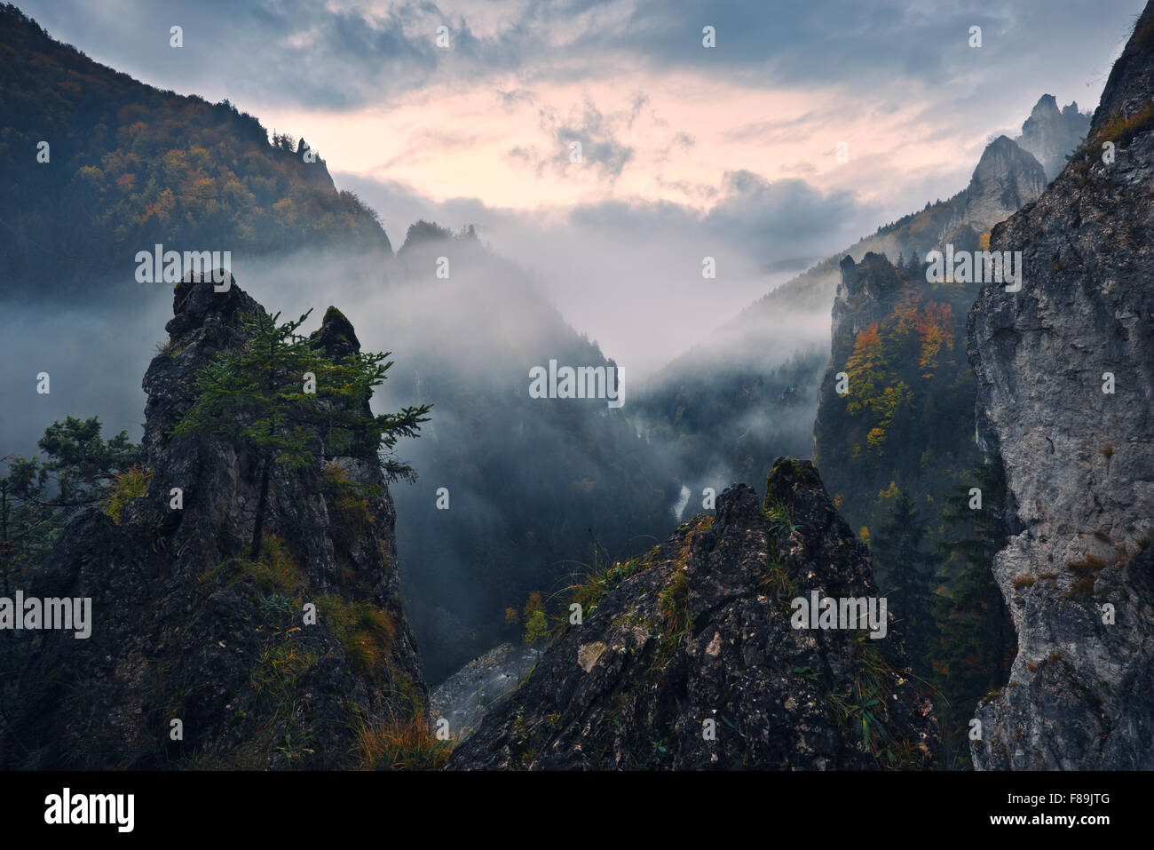 Carpazi, Slovacchia, Europa Foto Stock