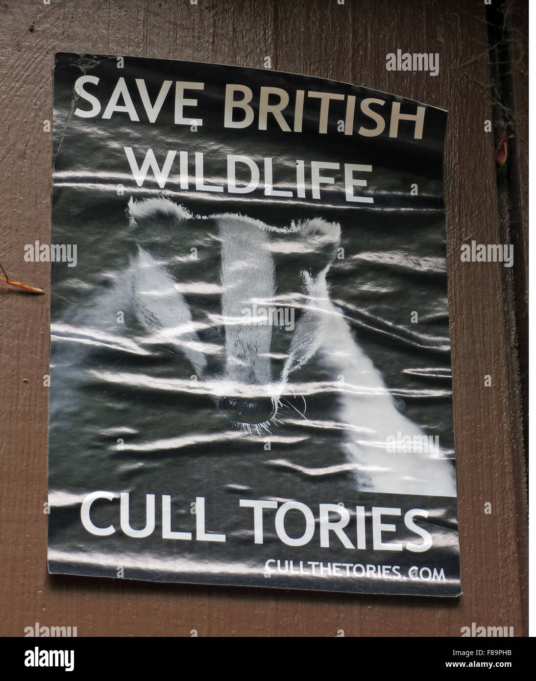 Save British Wildlife Poster,Walsall,West Midlands,Cull Tories, England, Regno Unito Foto Stock