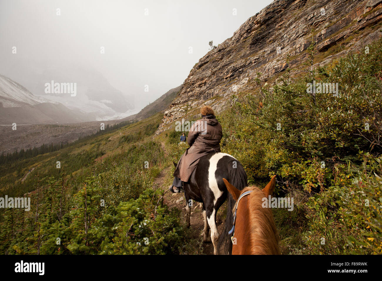 Passeggiate a cavallo attraverso il sentiero forestale Lake Louise alberta durante la bufera di neve Foto Stock