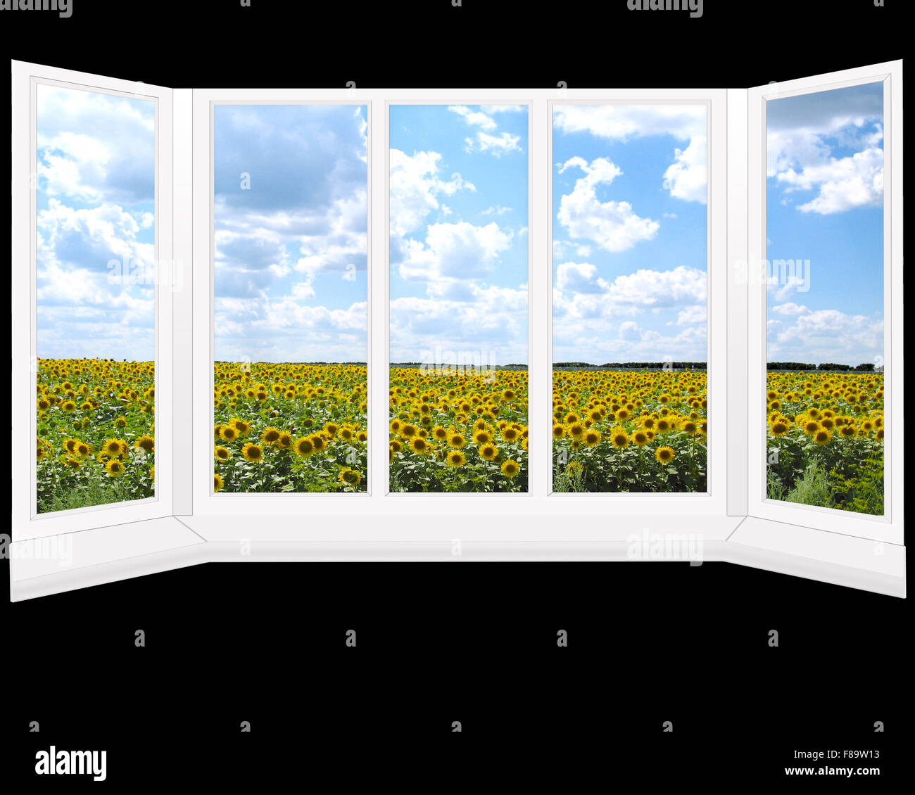 Camera con metallo-plastico di finestre che si affacciano sul campo di girasoli Foto Stock