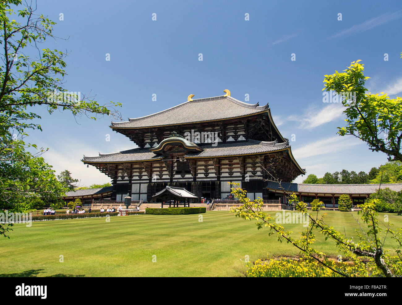 Tempio di Todai-ji di Nara, Giappone, Asia Foto Stock
