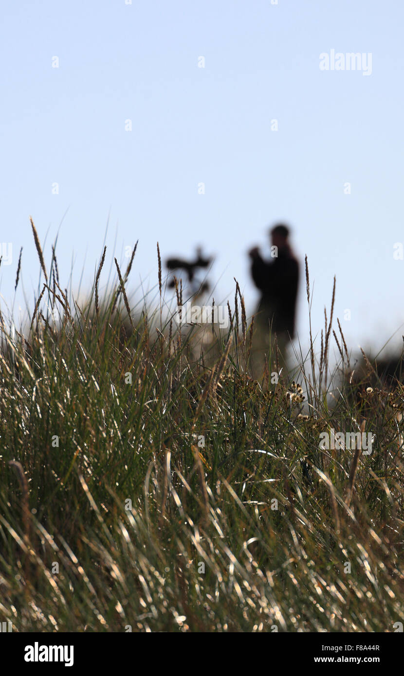 Un uomo birdwatching a Holme dune riserva naturale sulla costa di Norfolk. Foto Stock