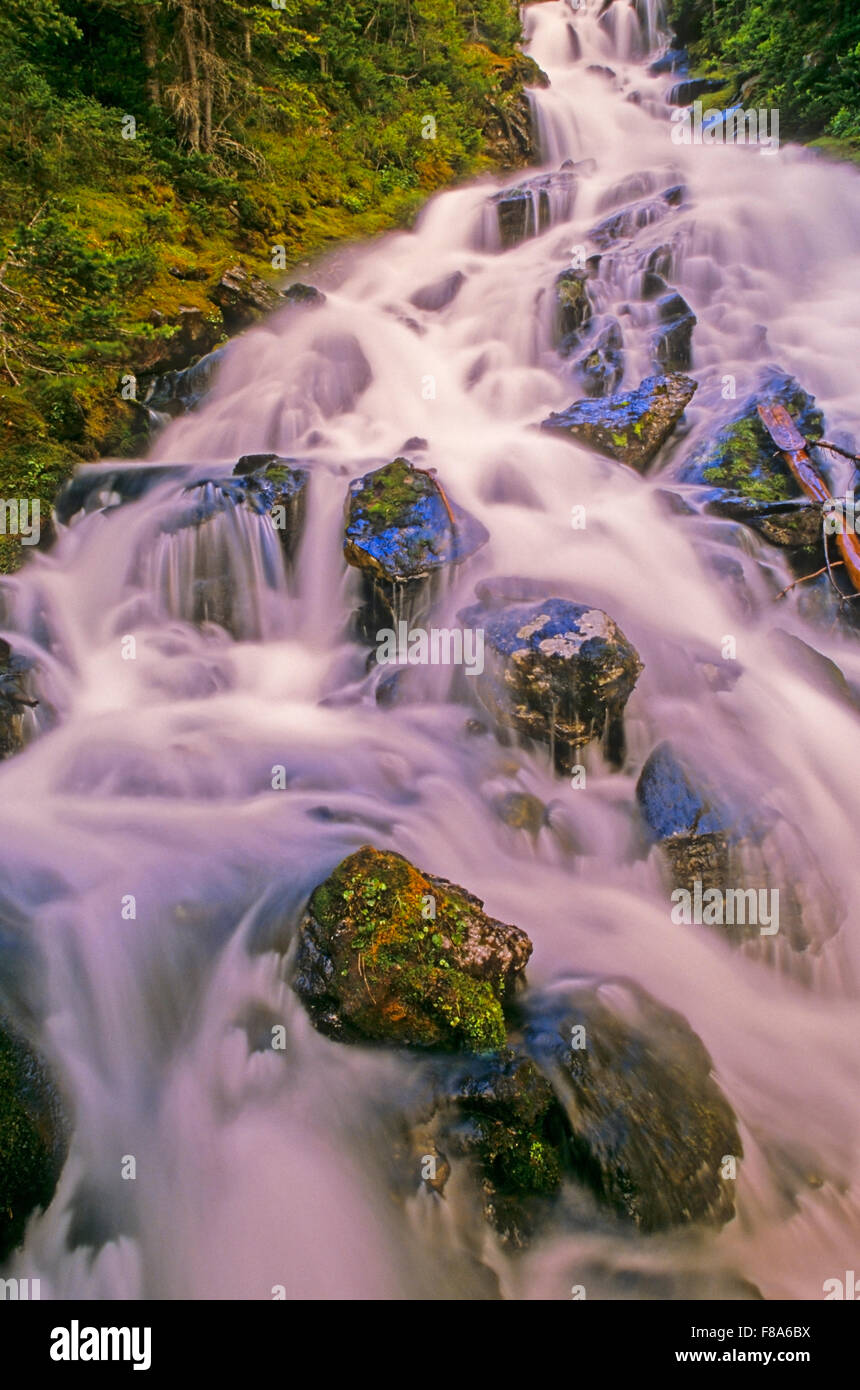 Re argento Creek, Babine Montagne parco provinciale, Smithers, British Columbia Foto Stock