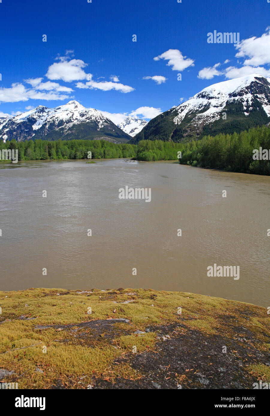 Vista a monte sul fiume Skeena dal fiume Exchamsiks Provincal Park, tra terrazza e di Prince Rupert, BC Foto Stock