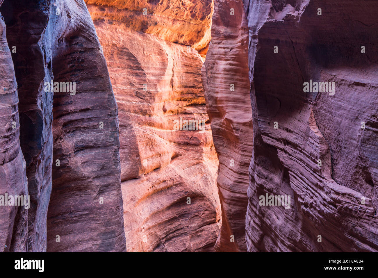 Luce colorata filtri fino al passaggio del filo, una slot canyon che alimenta in Daino Gulch in Paria Canyon / Vermillion Cliffs Foto Stock