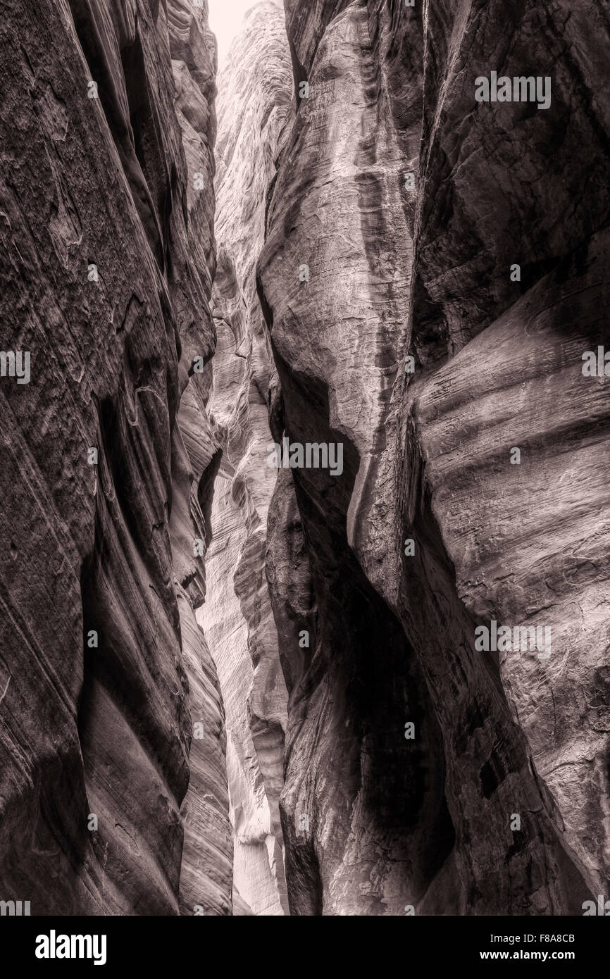 I filtri di luce verso il basso per passare a filo, una slot canyon che alimenta in Daino Gulch in Vermillion Cliffs National Monument. Foto Stock