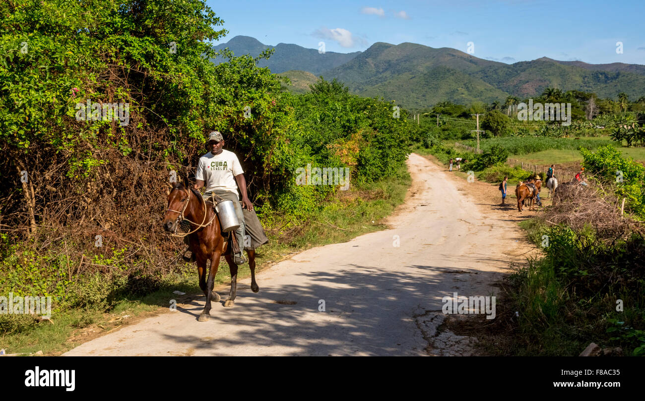 Il pilota cubano su un cavallo con il bricco per il latte in la Valle de los Ingenios, cielo blu, palme, fango-percorso, Trinidad, Cuba, Foto Stock