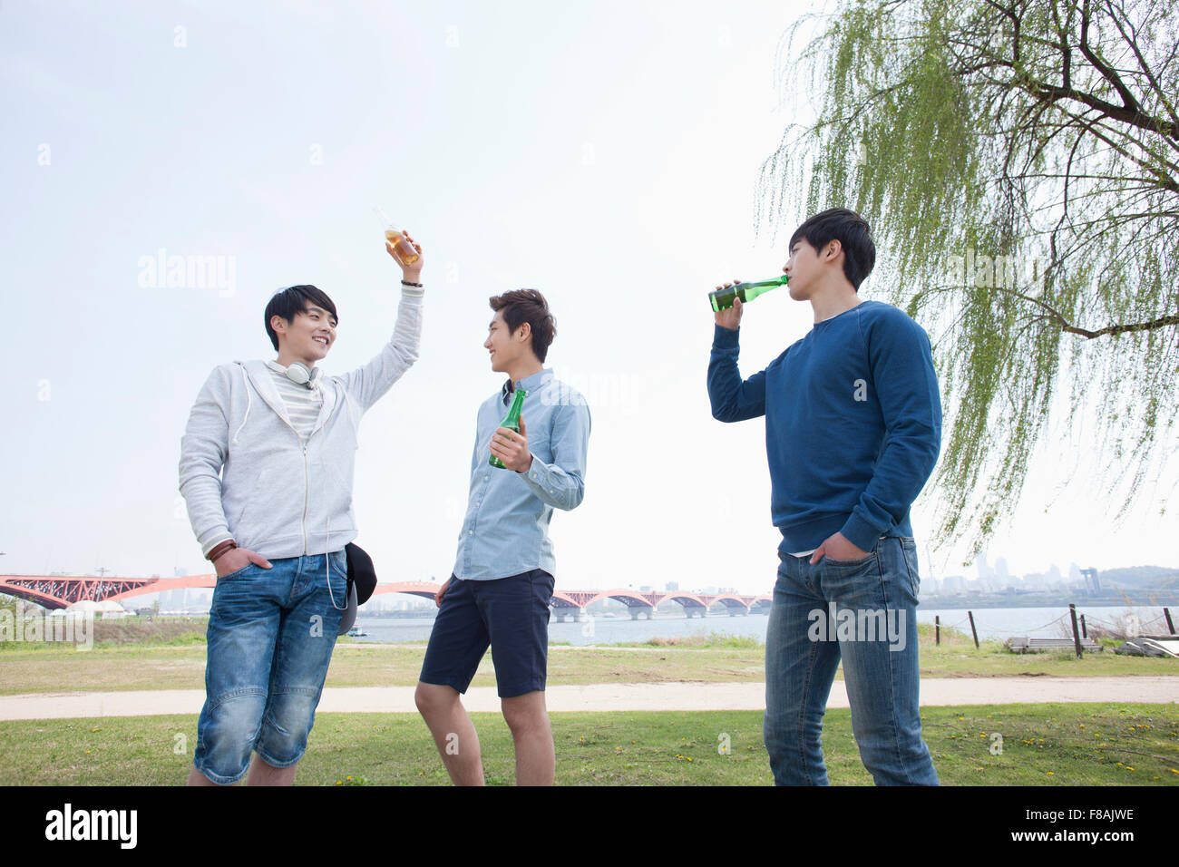 Tre giovani uomini in piedi su erba e tenendo le bottiglie di birra divertendosi al fiume Han park Foto Stock