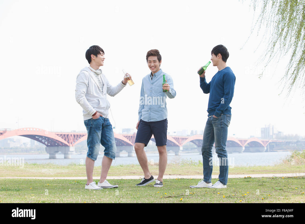 Tre giovani uomini in piedi su erba e tenendo le bottiglie di birra divertendosi al fiume Han park Foto Stock