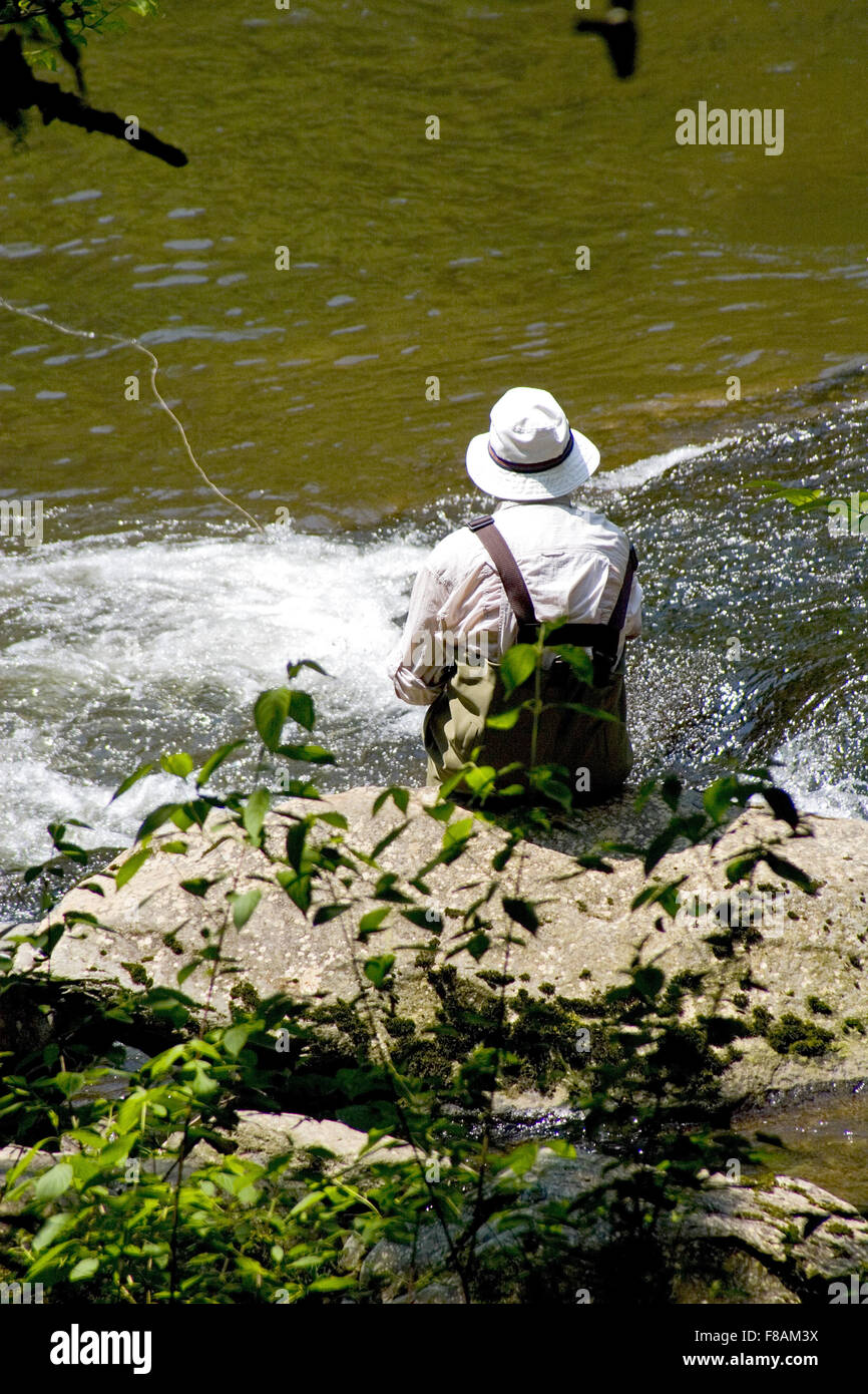 Pesca alla trota sul fiume Nantahala in Carolina del Nord Foto Stock