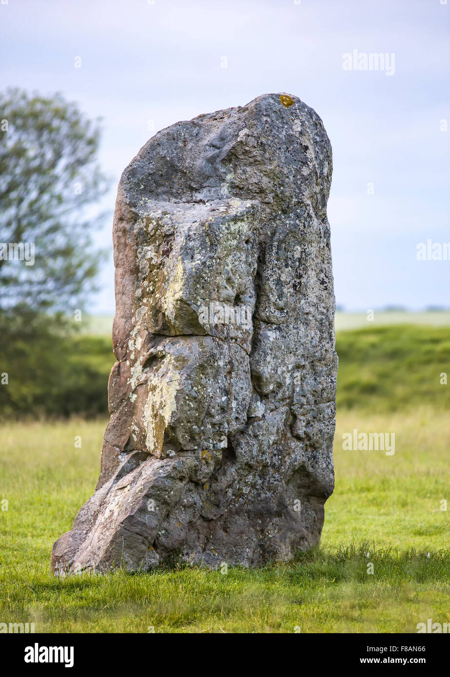 Le Pietre di Avebury, Wiltshire, Inghilterra Foto Stock