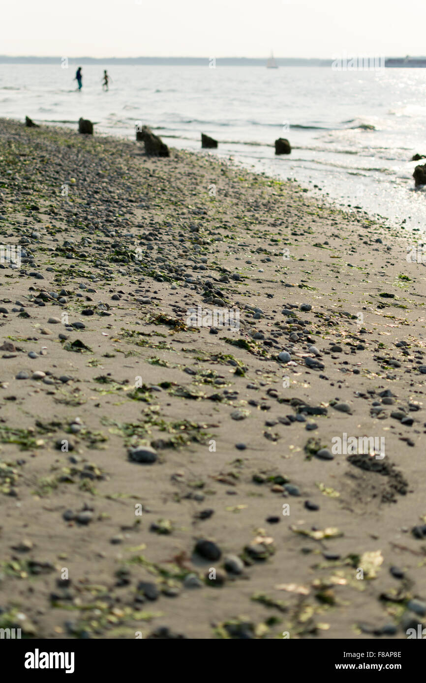 Molo Vecchio pilastri sul bordo della spiaggia. Foto Stock