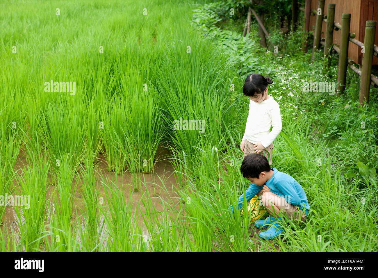 Un ragazzo e una ragazza che guarda qualcosa al campo di riso nel paese Foto Stock