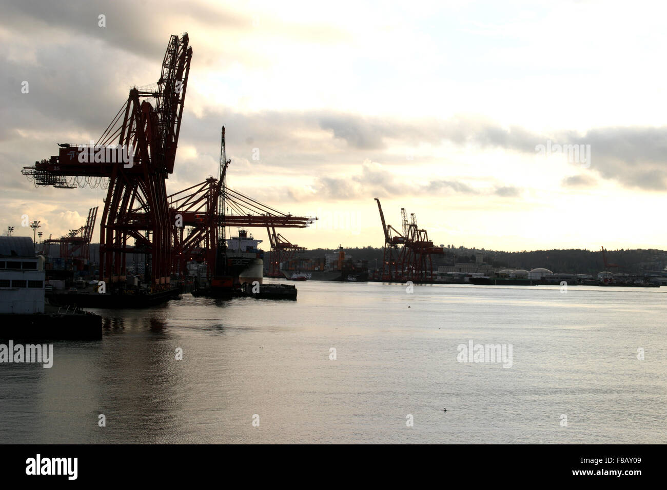 Il Porto di Seattle il porto di mare è uno dei più diversi negli Stati Uniti. È sede di una vasta gamma di attività marittime Foto Stock