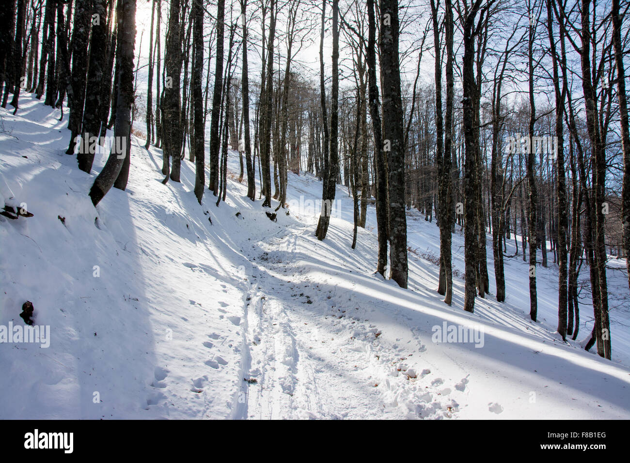 Italiano paesaggio invernale in montagna Foto Stock