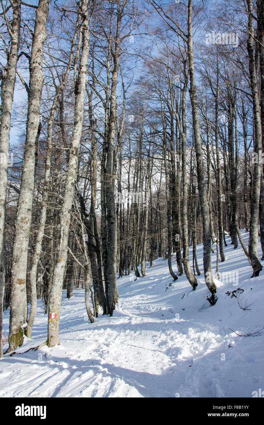 Italiano paesaggio invernale in montagna Foto Stock