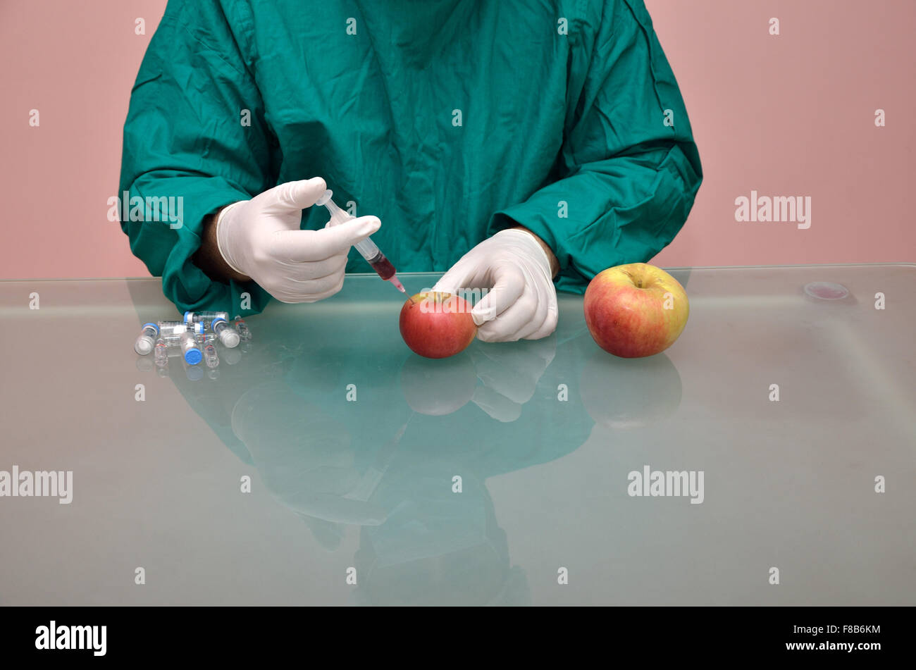 Scienziato di iniettare i prodotti chimici in piccoli apple e avente come risultato una più grande Foto Stock