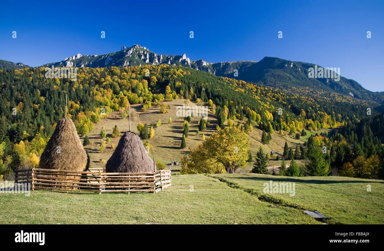 Rumeno tradizionale paesaggio di montagna Ceahlau in autunno e pile di fieno sul prato, lavorato a mano Foto Stock