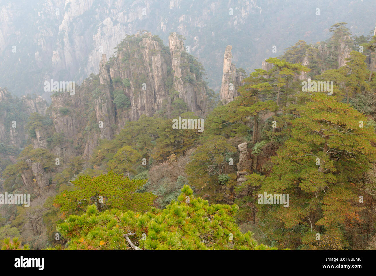 Montagne di giallo (Huangshan) provincia di Anhui Cina LA008646 Foto Stock