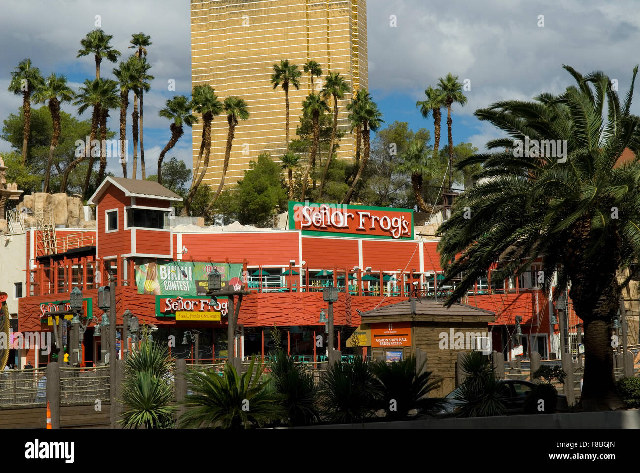 Senor Frogs Ristorante Las Vegas Nevada USA Foto Stock