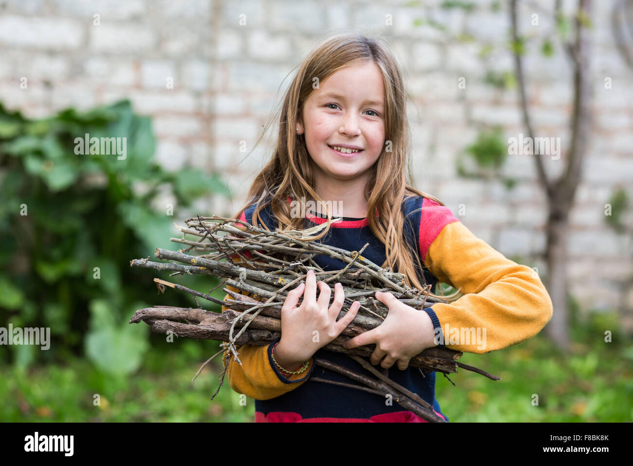 9-anno-vecchia ragazza la raccolta di legna da ardere. Foto Stock