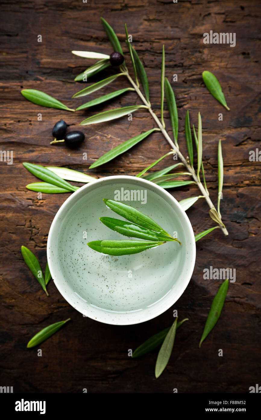 Foglie di Olive tè alle erbe. Foto Stock