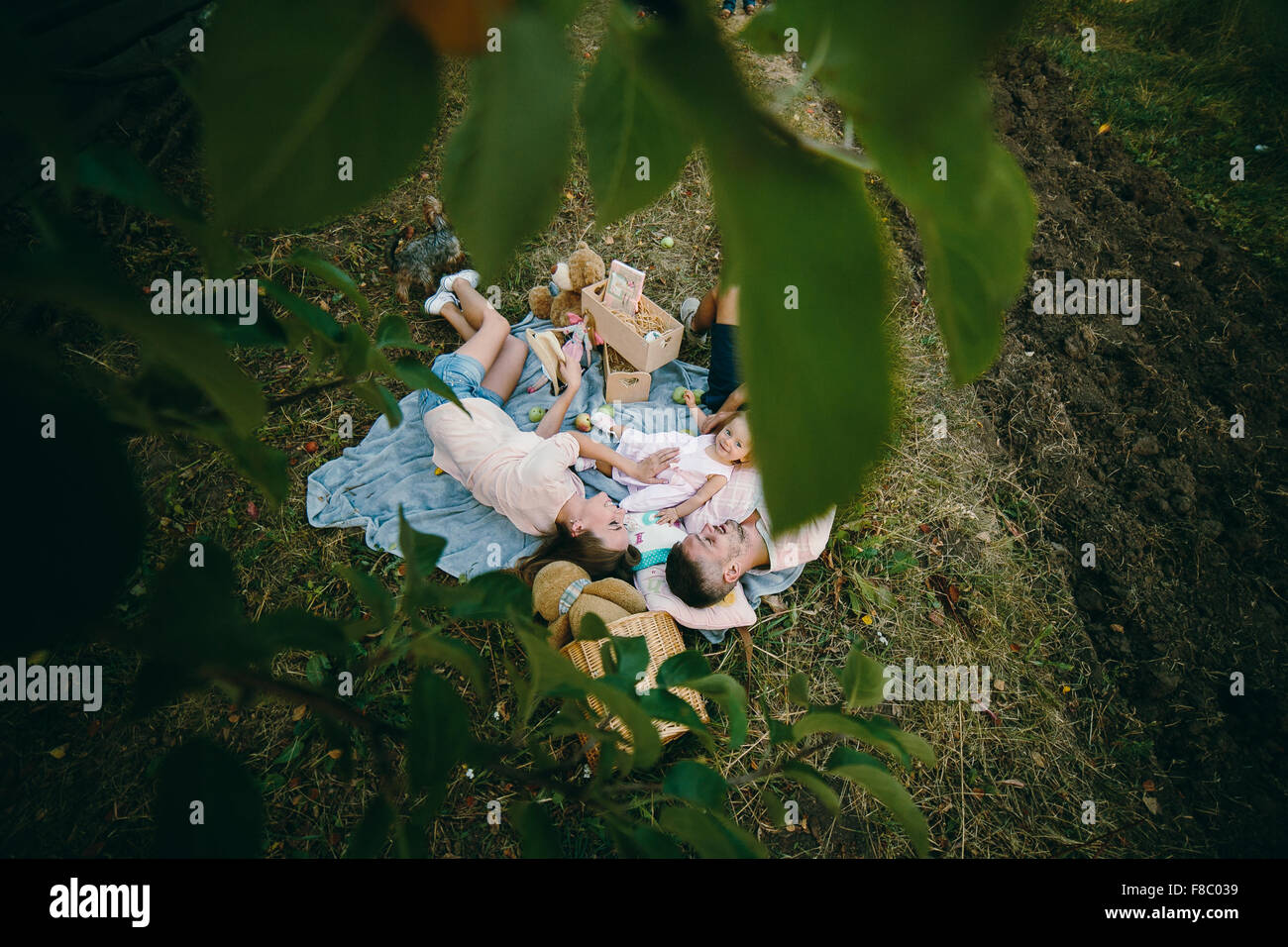 La famiglia felice sul prato nel parco Foto Stock