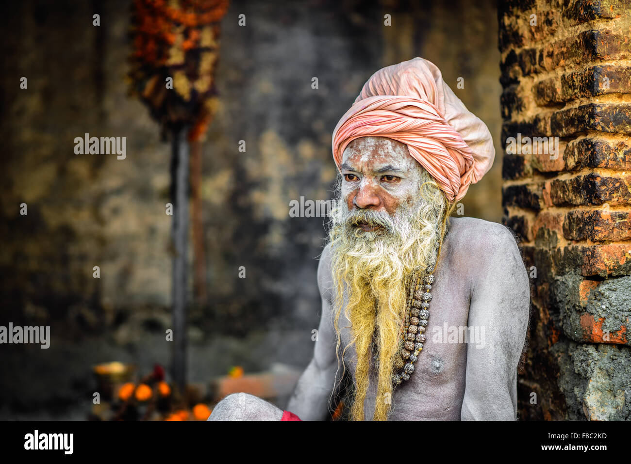 Ritratto di Shaiva sadhu (uomo santo) con tradizionale barba lunga nel tempio di Pashupatinath Foto Stock