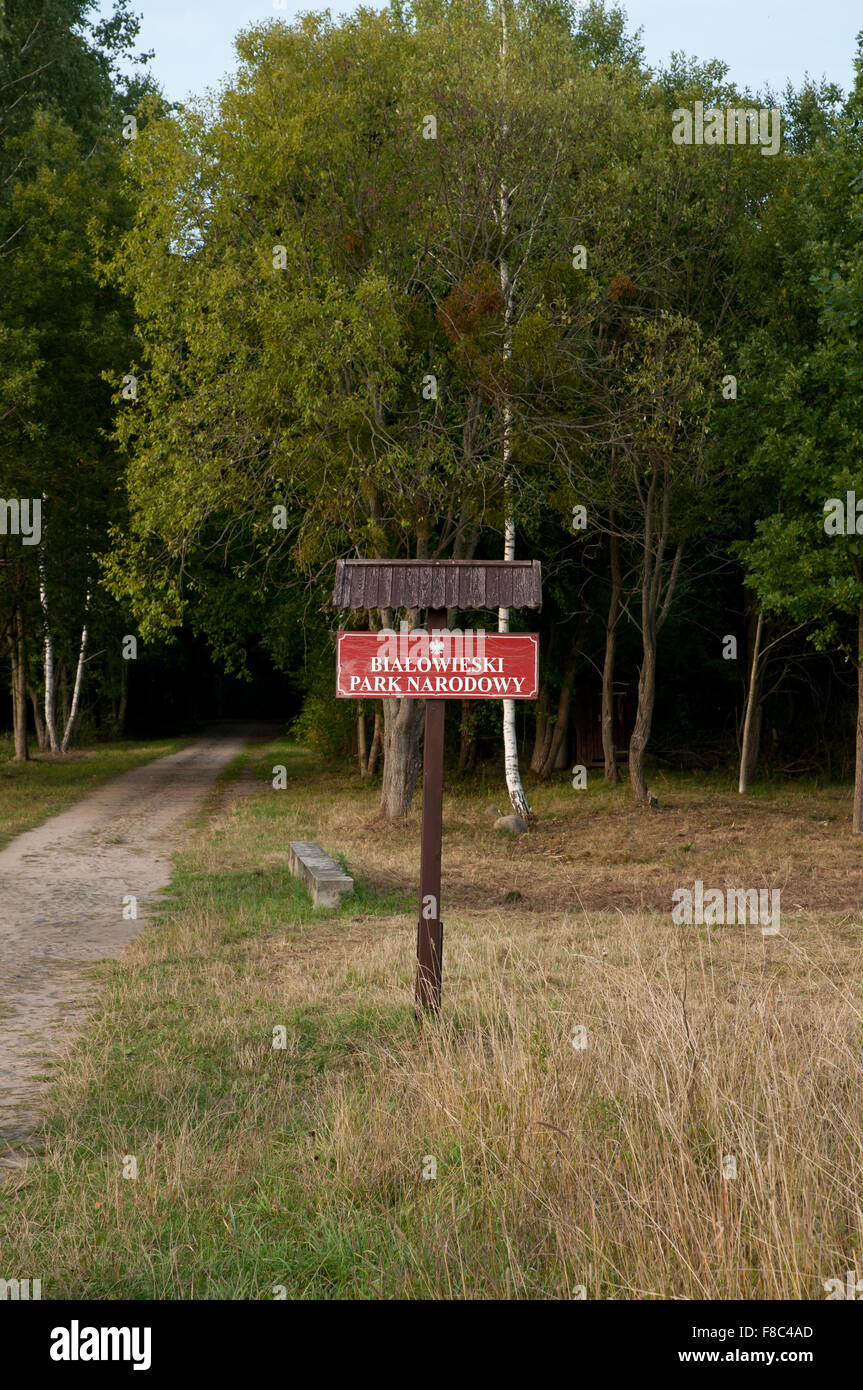 Bialowieski Park Narodowy cartello in Bialowieza National Park, in Polonia, in Europa, di orientamento per i piedi vicino footway nella foresta... Foto Stock