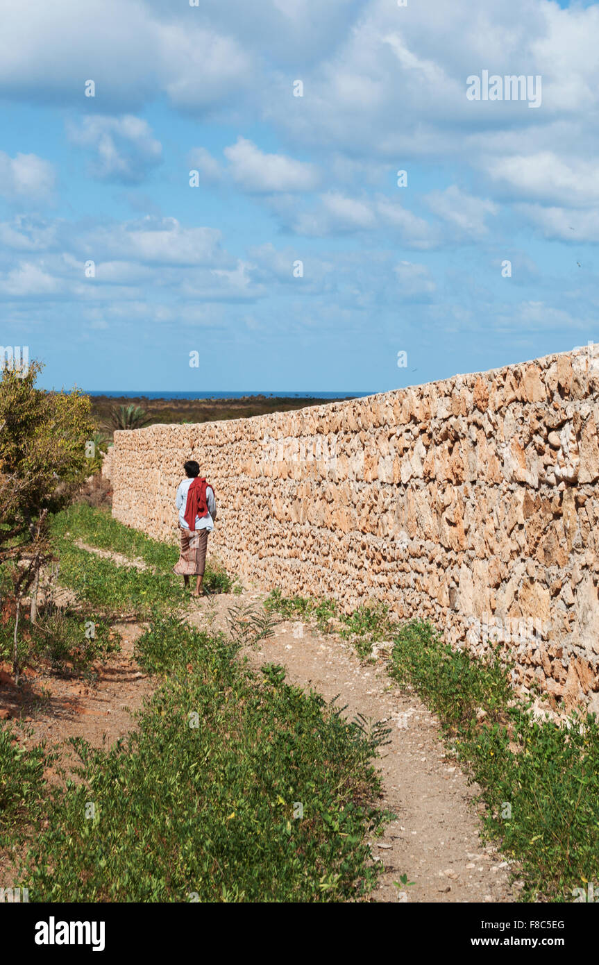 Socotra, Yemen, Medio Oriente: un uomo yemenita camminare vicino a un muro di pietra nella zona protetta di Altopiano Homhil, biodiversità unico Foto Stock