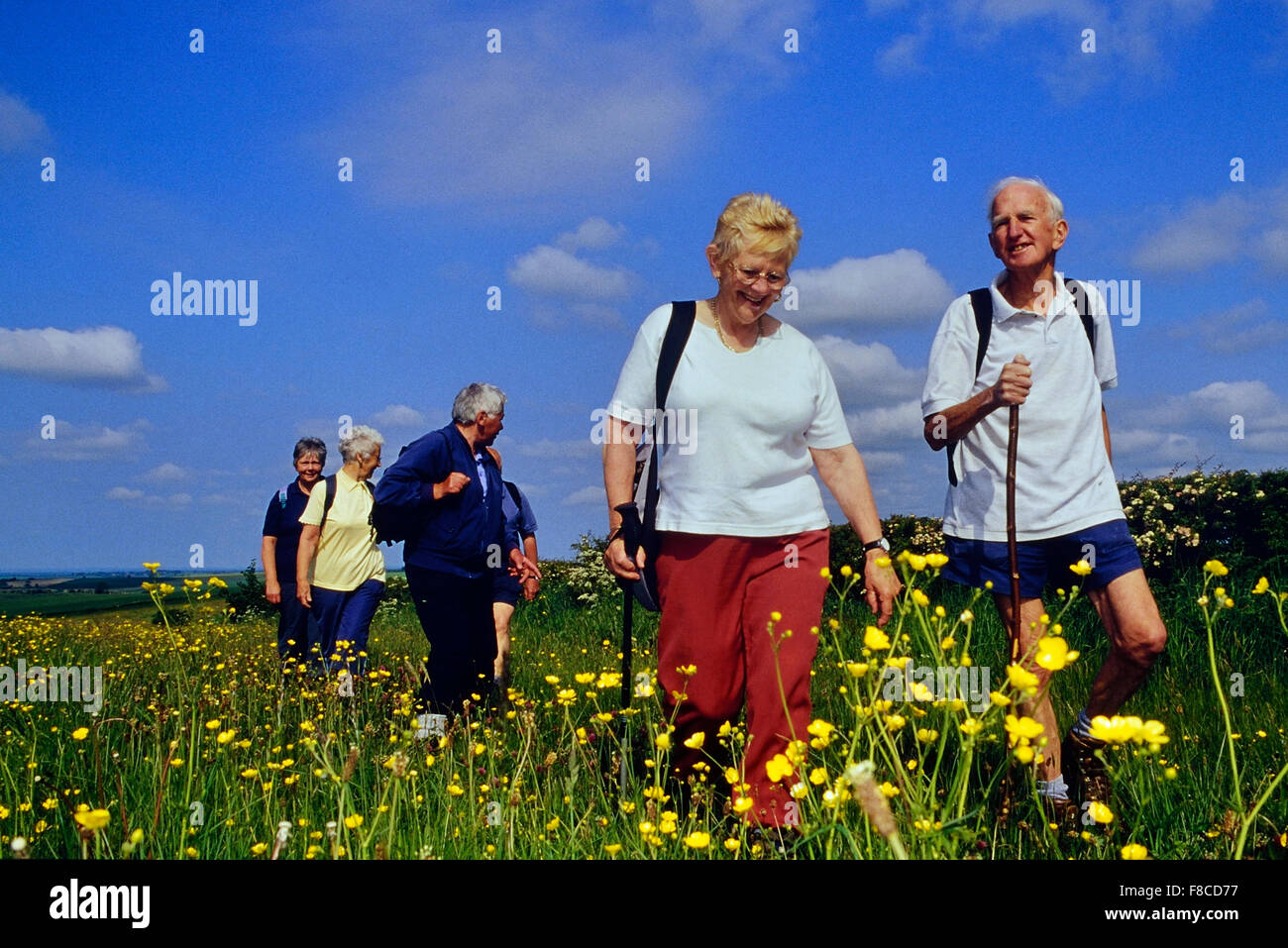 Anziani ramblers. Lincolnshire Wolds. In Inghilterra. Regno Unito Foto Stock