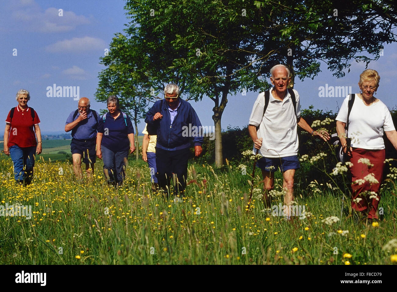 Anziani ramblers. Lincolnshire Wolds. In Inghilterra. Regno Unito Foto Stock