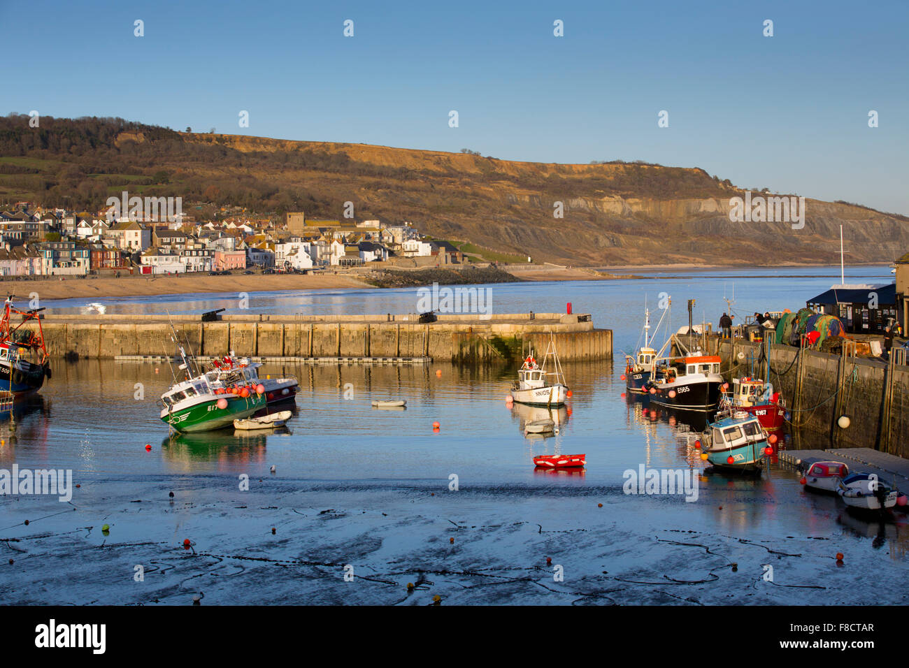 Lyme Regis; Porto e costa; Dorset, Regno Unito Foto Stock