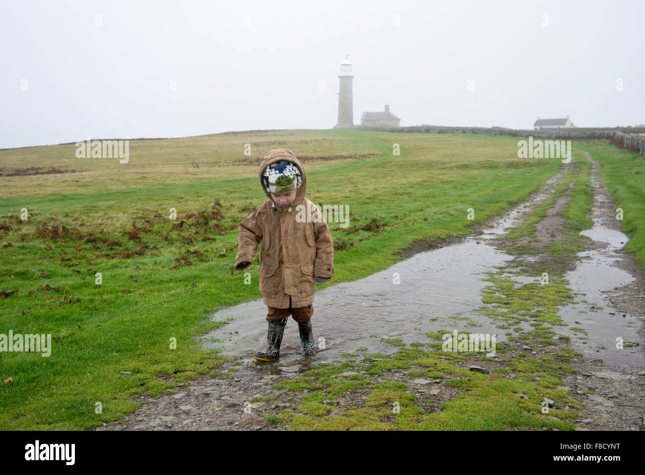 Piccolo Ragazzo (età 4 - 5) spruzzi attraverso pozzanghere su Lundy Island, a piedi dal vecchio faro di luce Foto Stock