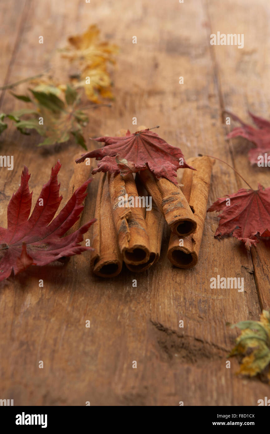 La cannella con foglie di acero sul pianale in legno Foto Stock