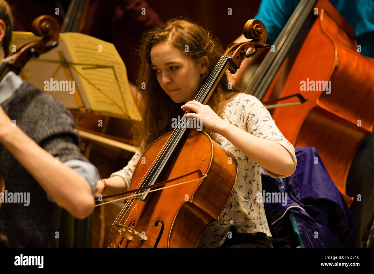 Giovani musicisti: una donna musica classica violoncello giocatore con la Orion Orchestra in prova a Aberystwyth Music Fest Festival 2015 Foto Stock