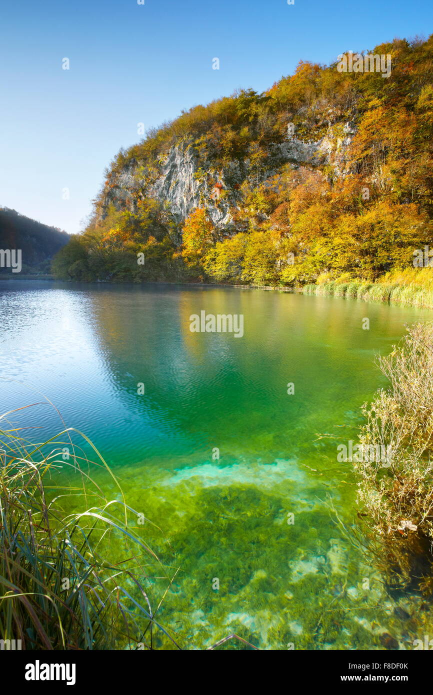 Il Parco Nazionale dei Laghi di Plitvice, Croazia, UNESCO Foto Stock