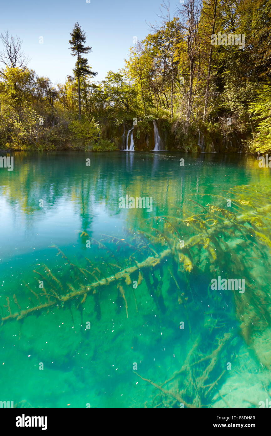 Il Parco Nazionale dei Laghi di Plitvice, Croazia, UNESCO Foto Stock