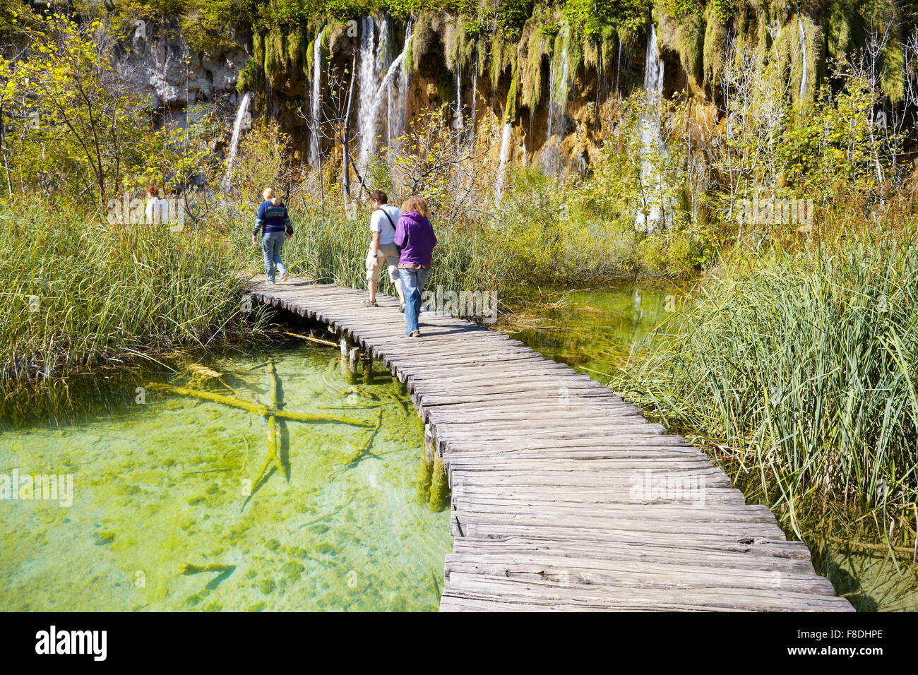 Sentiero escursionistico, il Parco Nazionale dei Laghi di Plitvice, Croazia, UNESCO Foto Stock