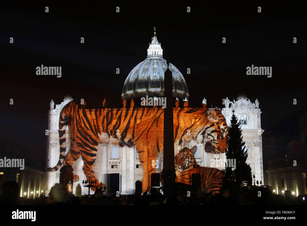 Vaticano. Il 9 dicembre, 2015. Città del Vaticano: la nuova illuminazione della basilica di San Pietro in onore di tutta la vita sul pianeta terra. (Foto: Marco Iacobucci/Alamy live news) Foto Stock