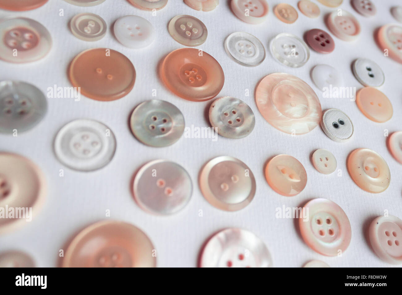 Pulsanti multipli su sfondo bianco - colori rosa Foto Stock