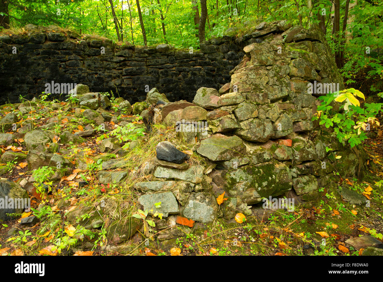 Fiume di roccia forni, Hiawatha National Forest, Michigan Foto Stock