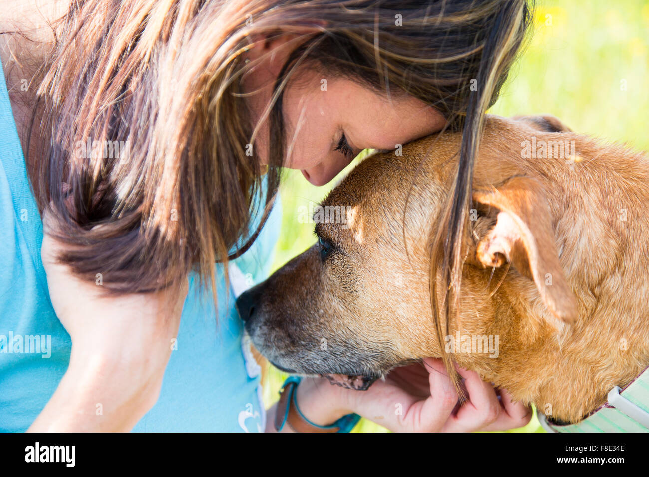 Donna e cane console ogni altro Foto Stock