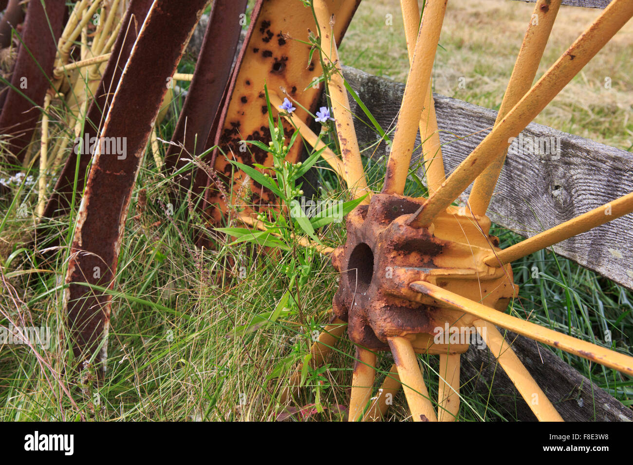 Giallo fattoria a raggi ruota di apparecchiature di formazione di ruggine in un campo accanto a una recinzione Foto Stock
