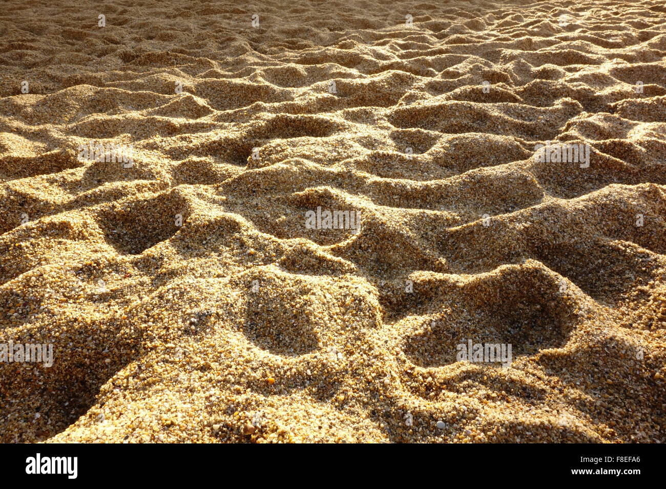 Illuminata dal sole sabbia Foto Stock