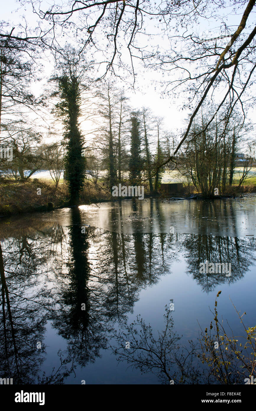 Un piccolo lago ghiacciato in inverno in una foresta nel Regno Unito con il sole che scorre attraverso gli alberi Foto Stock