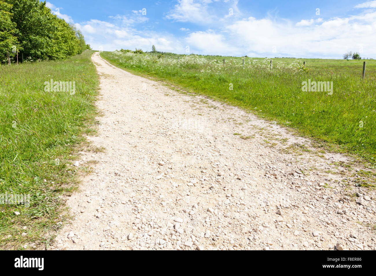 In salita il percorso in campagna in una giornata di sole in estate, England, Regno Unito Foto Stock